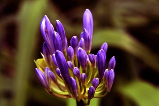 这场比赛从 这场比赛从