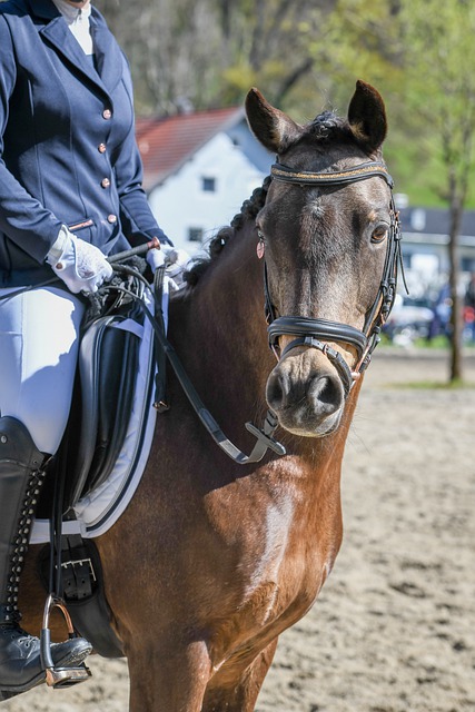 攻击战术 攻击战术