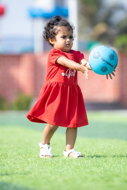 台湾棒球队 台湾棒球队